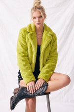LIME